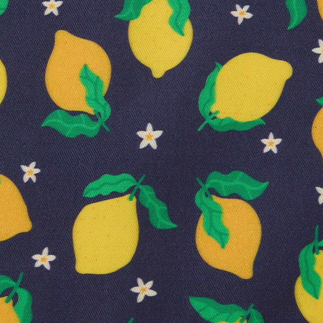 Garden Lemons Apron - Essential - Image 4